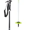 Swix Mach II IPM Carbon Composite Ski Poles