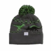 The Toy Bin Youth Beanie By Coal